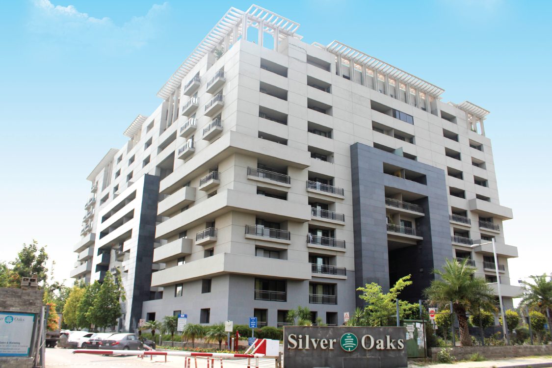 Silver Oaks